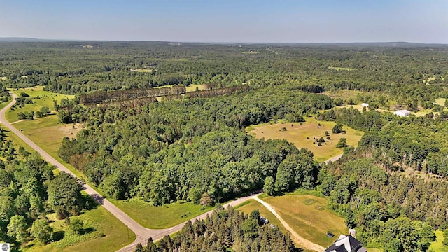 52ACRES Tannerville Rd, Kaleva, MI 49645