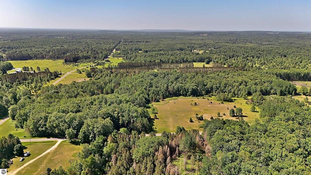 52ACRES Tannerville Rd, Kaleva, MI 49645