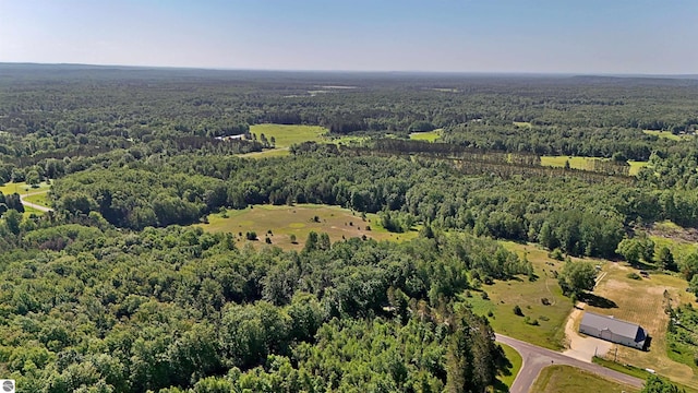 52ACRES Tannerville Rd, Kaleva, MI 49645