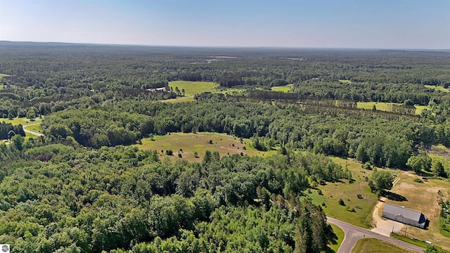 52ACRES Tannerville Rd, Kaleva, MI 49645