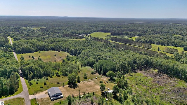 52ACRES Tannerville Rd, Kaleva, MI 49645