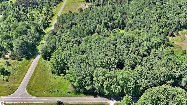 52ACRES Tannerville Rd, Kaleva, MI 49645