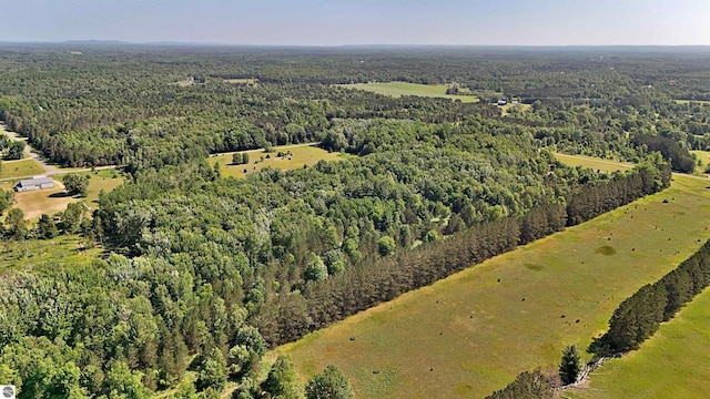 52ACRES Tannerville Rd, Kaleva, MI 49645