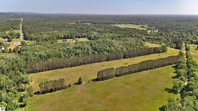 52ACRES Tannerville Rd, Kaleva, MI 49645