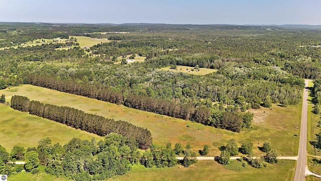 52ACRES Tannerville Rd, Kaleva, MI 49645