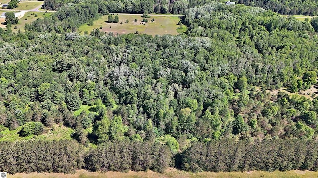 52ACRES Tannerville Rd, Kaleva, MI 49645