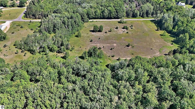 52ACRES Tannerville Rd, Kaleva, MI 49645