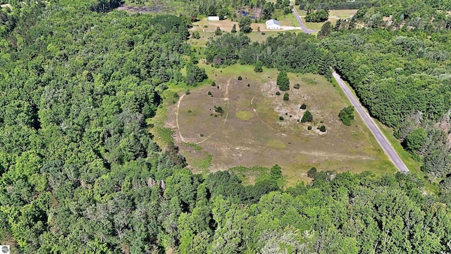 52ACRES Tannerville Rd, Kaleva, MI 49645