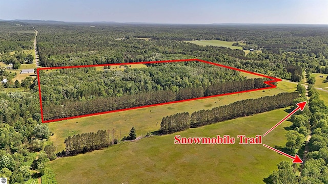 52ACRES Tannerville Rd, Kaleva, MI 49645