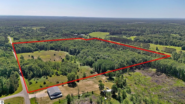 52ACRES Tannerville Rd, Kaleva, MI 49645
