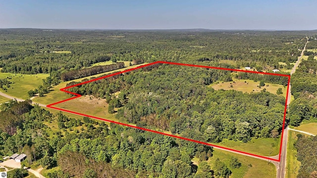 52ACRES Tannerville Rd, Kaleva, MI 49645