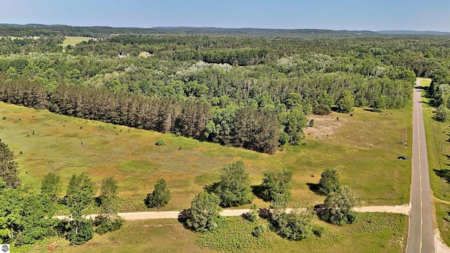 52ACRES Tannerville Rd, Kaleva, MI 49645