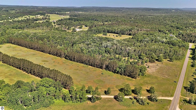 52ACRES Tannerville Rd, Kaleva, MI 49645