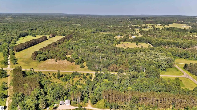 52ACRES Tannerville Rd, Kaleva, MI 49645