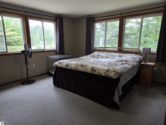 3962 Power Dr, Mikado, MI 48745 - carpeted bedroom featuring baseboards