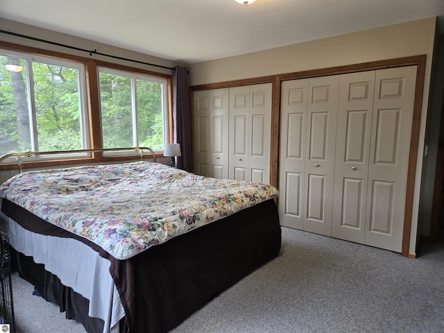 3962 Power Dr, Mikado, MI 48745 - carpeted bedroom featuring multiple closets