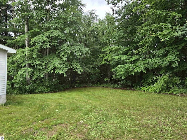 3962 Power Dr, Mikado, MI 48745 - view of green lawn