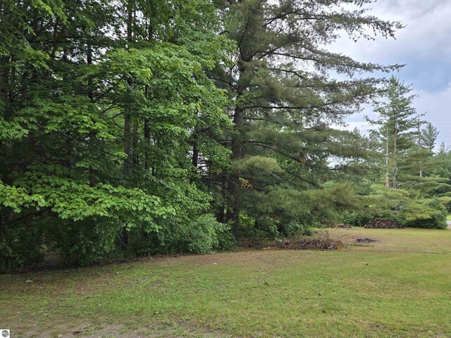3962 Power Dr, Mikado, MI 48745 - view of green lawn featuring a forest view