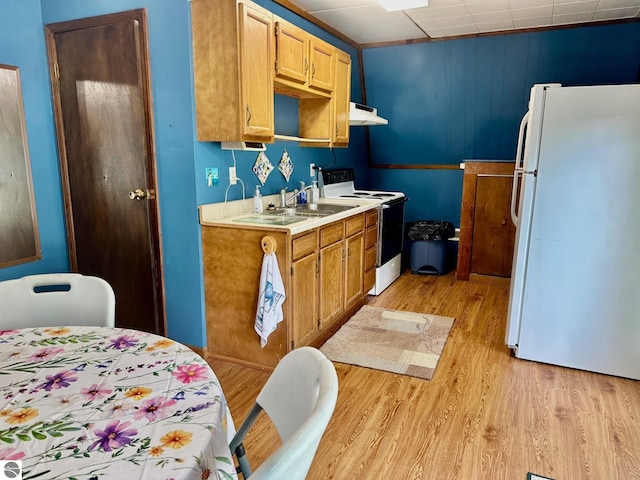 3775 W Cedar Lake Rd, Greenbush, MI 48738 - kitchen with white appliances, light wood-style flooring, ventilation hood, and light countertops