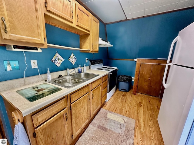 3775 W Cedar Lake Rd, Greenbush, MI 48738 - kitchen with white appliances, light wood-style floors, under cabinet range hood, and light countertops