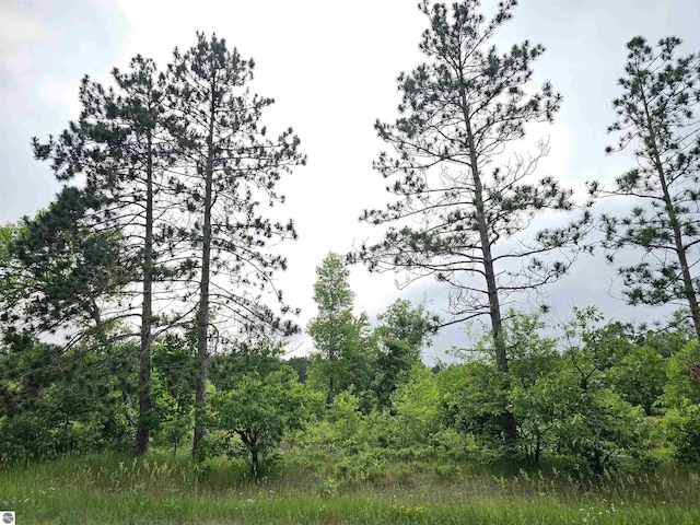 00 Menzies Rd, Lake City, MI 49651