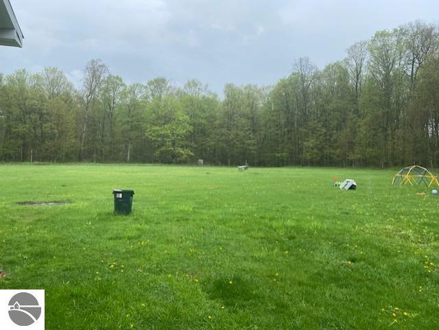 802 W 4th Rd, Buckley, MI 49620 - view of green lawn with a view of trees