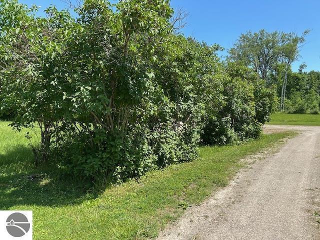 2393 Oates Rd, Tawas City, MI 48763 - view of dirt / gravel road