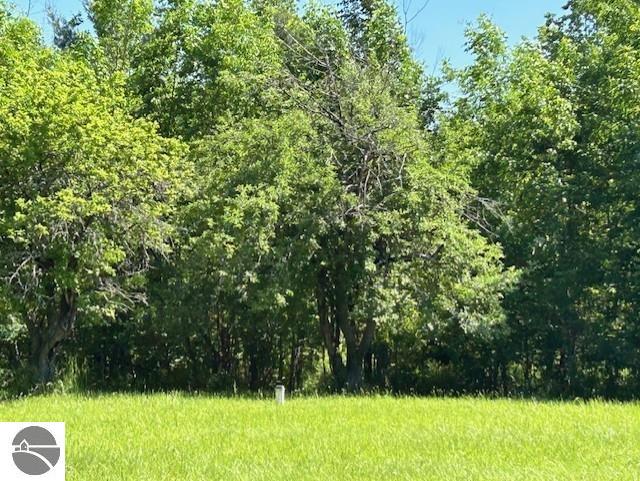 2393 Oates Rd, Tawas City, MI 48763 - view of wooded area