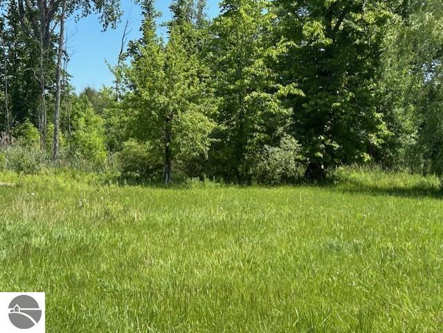 2393 Oates Rd, Tawas City, MI 48763 - view of woods