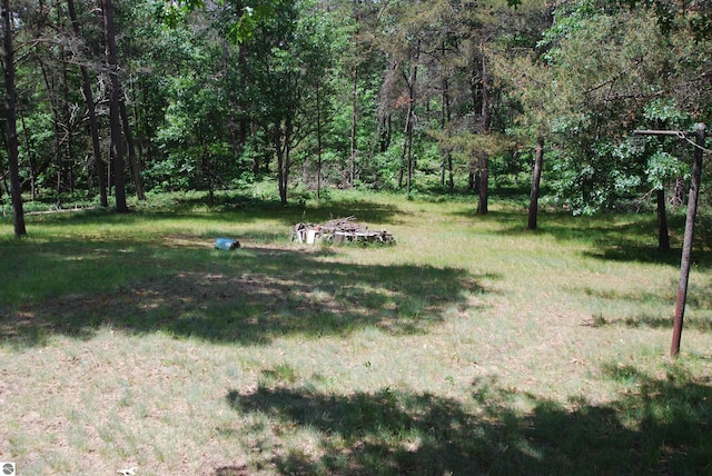 1159 Jones Rd, Saint Helen, MI 48656 - view of yard with a forest view