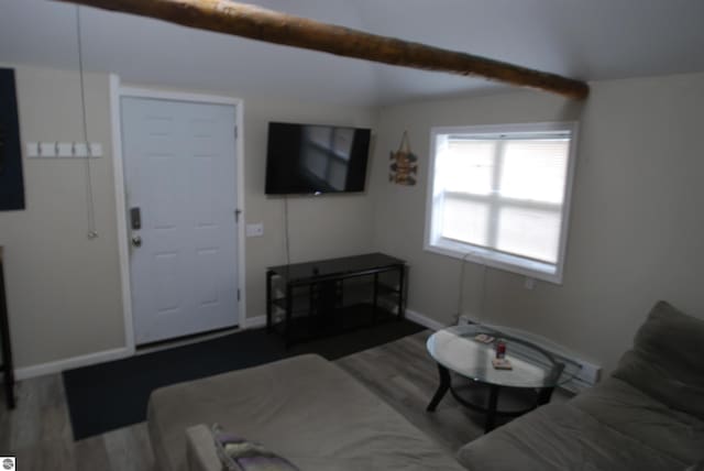 1159 Jones Rd, Saint Helen, MI 48656 - living area featuring wood finished floors and beamed ceiling
