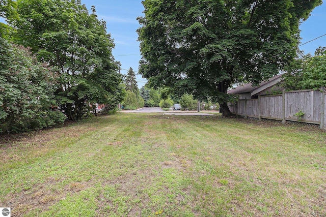 718 Forest Ave, Frankfort, MI 49635 - view of yard