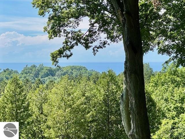 N Christianson Rd, Northport, MI 49670