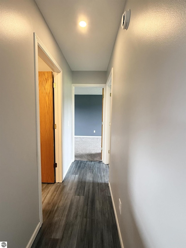 2082 Dusty Trl, Kingsley, MI 49649 - hallway featuring baseboards and dark wood-style floors