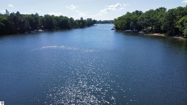 7851 White Birch Dr, Farwell, MI 48622 - water view featuring a heavily wooded area