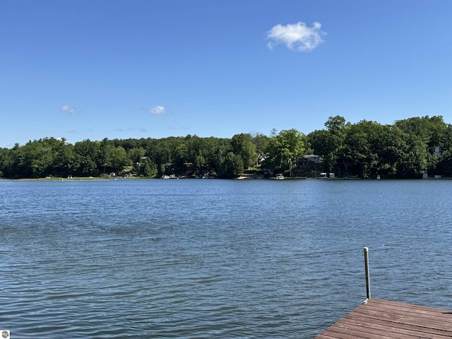 7851 White Birch Dr, Farwell, MI 48622 - dock area featuring a water view