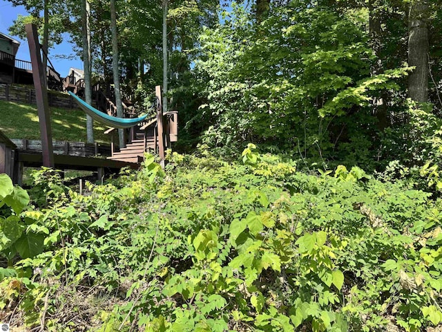 7851 White Birch Dr, Farwell, MI 48622 - view of yard