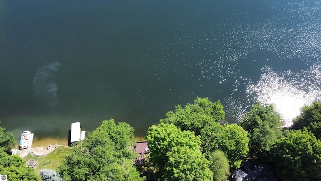 7851 White Birch Dr, Farwell, MI 48622 - drone / aerial view