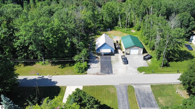 7851 White Birch Dr, Farwell, MI 48622 - view from above of property
