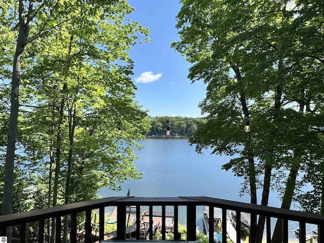 7851 White Birch Dr, Farwell, MI 48622 - water view