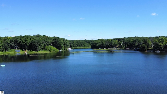 7851 White Birch Dr, Farwell, MI 48622 - water view featuring a heavily wooded area