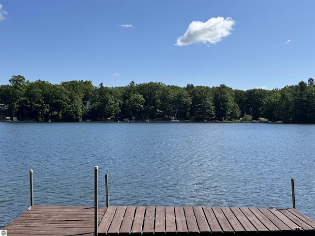 7851 White Birch Dr, Farwell, MI 48622 - dock featuring a water view
