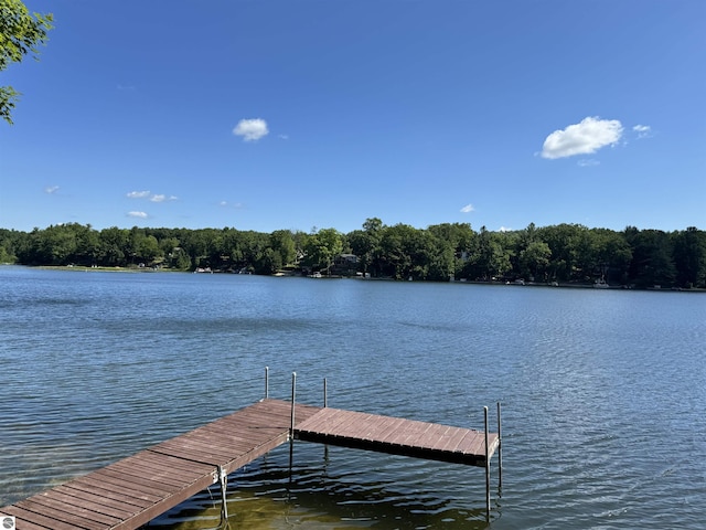 7851 White Birch Dr, Farwell, MI 48622 - dock area with a water view