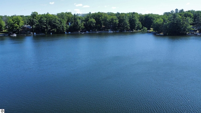 7851 White Birch Dr, Farwell, MI 48622 - water view