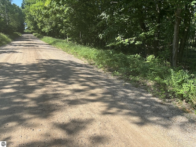 VL Forward, Lake City, MI 49651