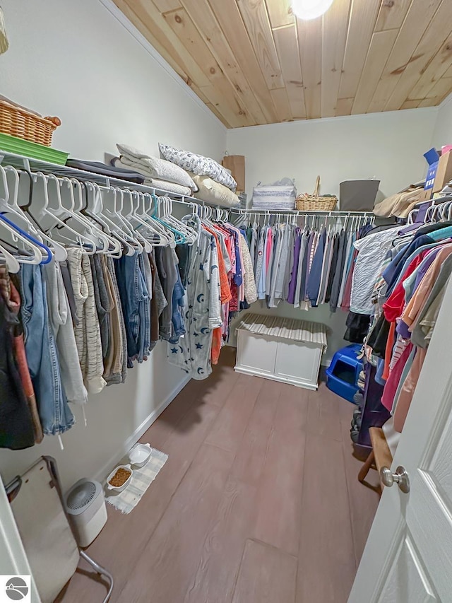 5670 N Harrison Ave, Harrison, MI 48625 - spacious closet with wood finished floors