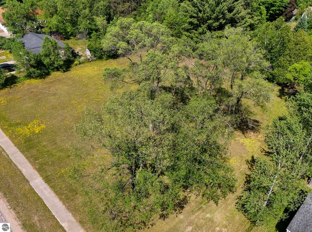Mack Ave, Kingsley, MI 49649
