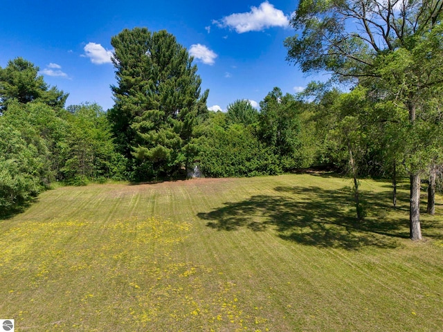 Mack Ave, Kingsley, MI 49649