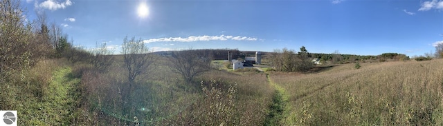 13333 S Coleman Rd, Empire, MI 49630 - view of mountain background