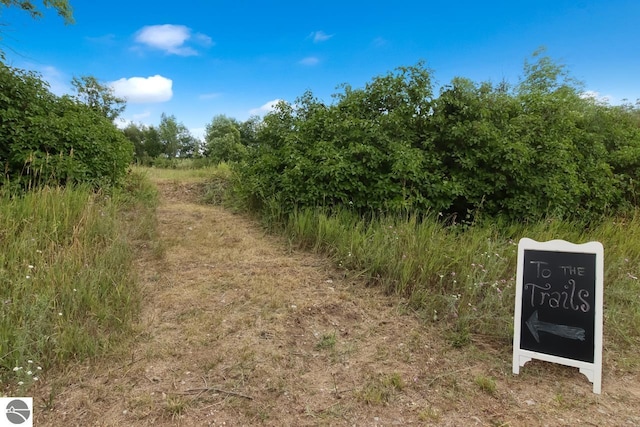 13333 S Coleman Rd, Empire, MI 49630 - view of local wilderness